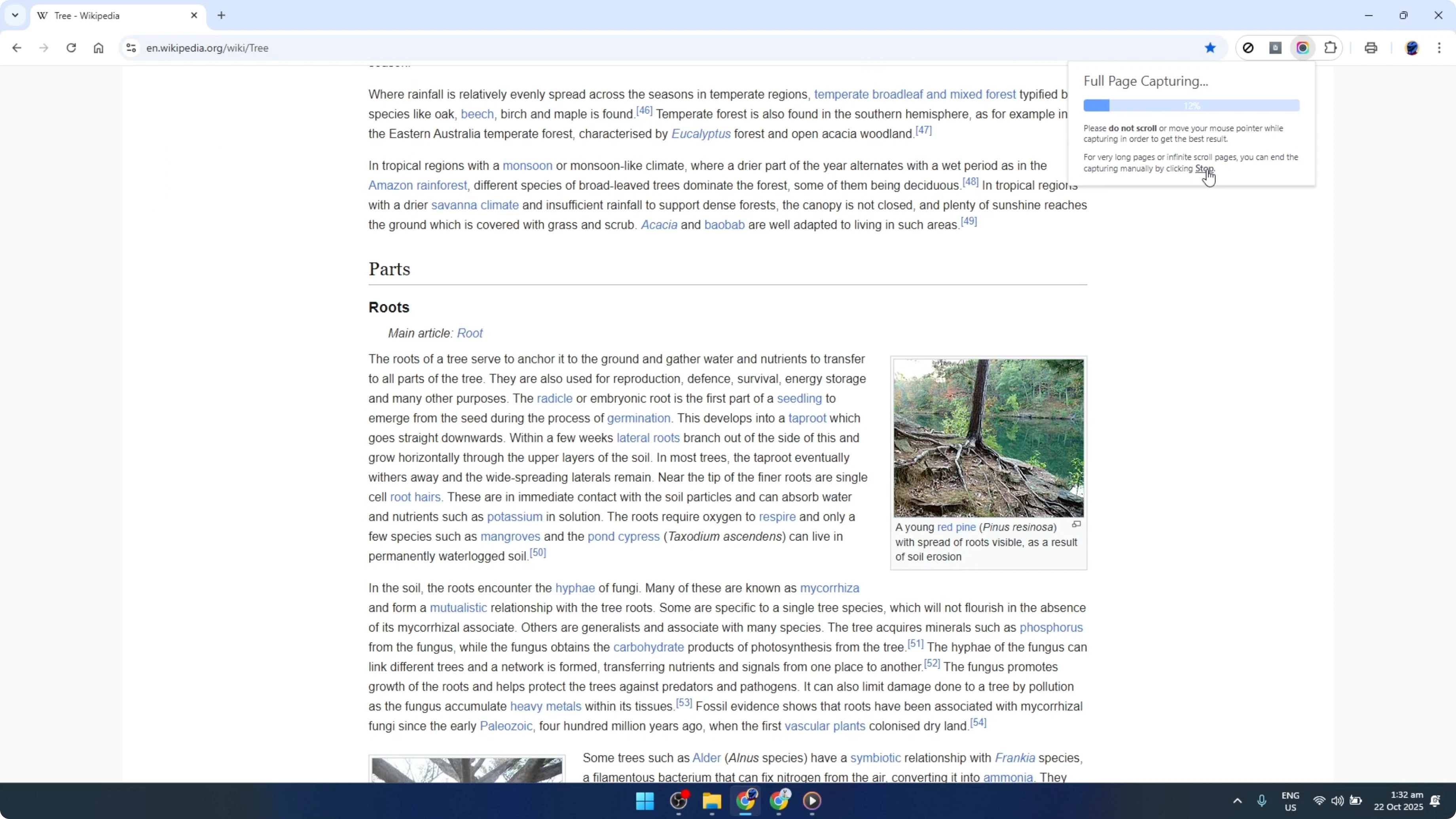 Screenshot from How To Use Awesome Screenshot Google Chrome [2026 Guide] at 78s