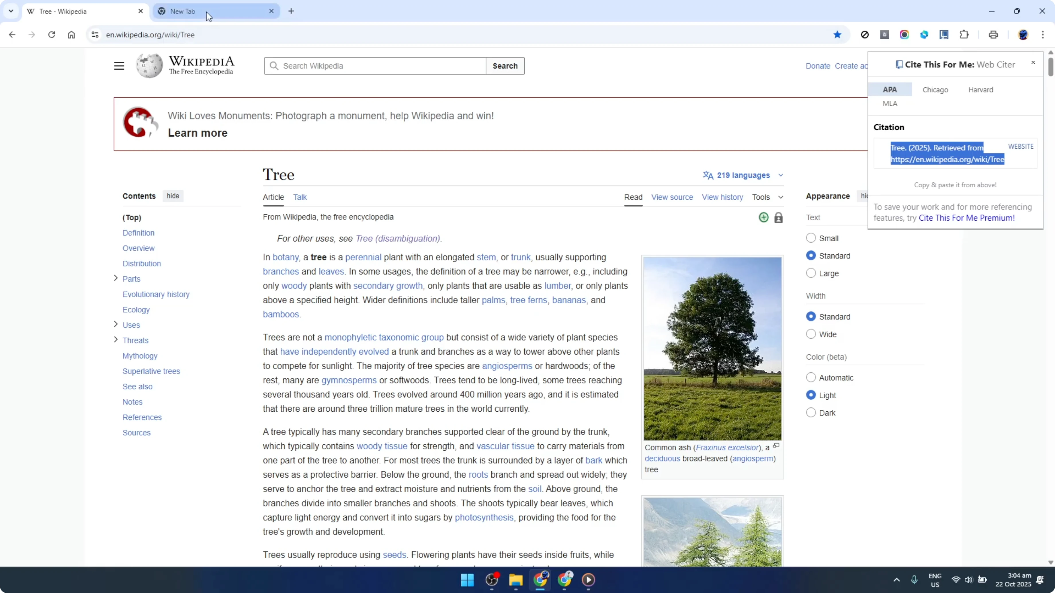 Screenshot from How To Use Cite This For Me Google Chrome Extension [2026 Guide] at 117s
