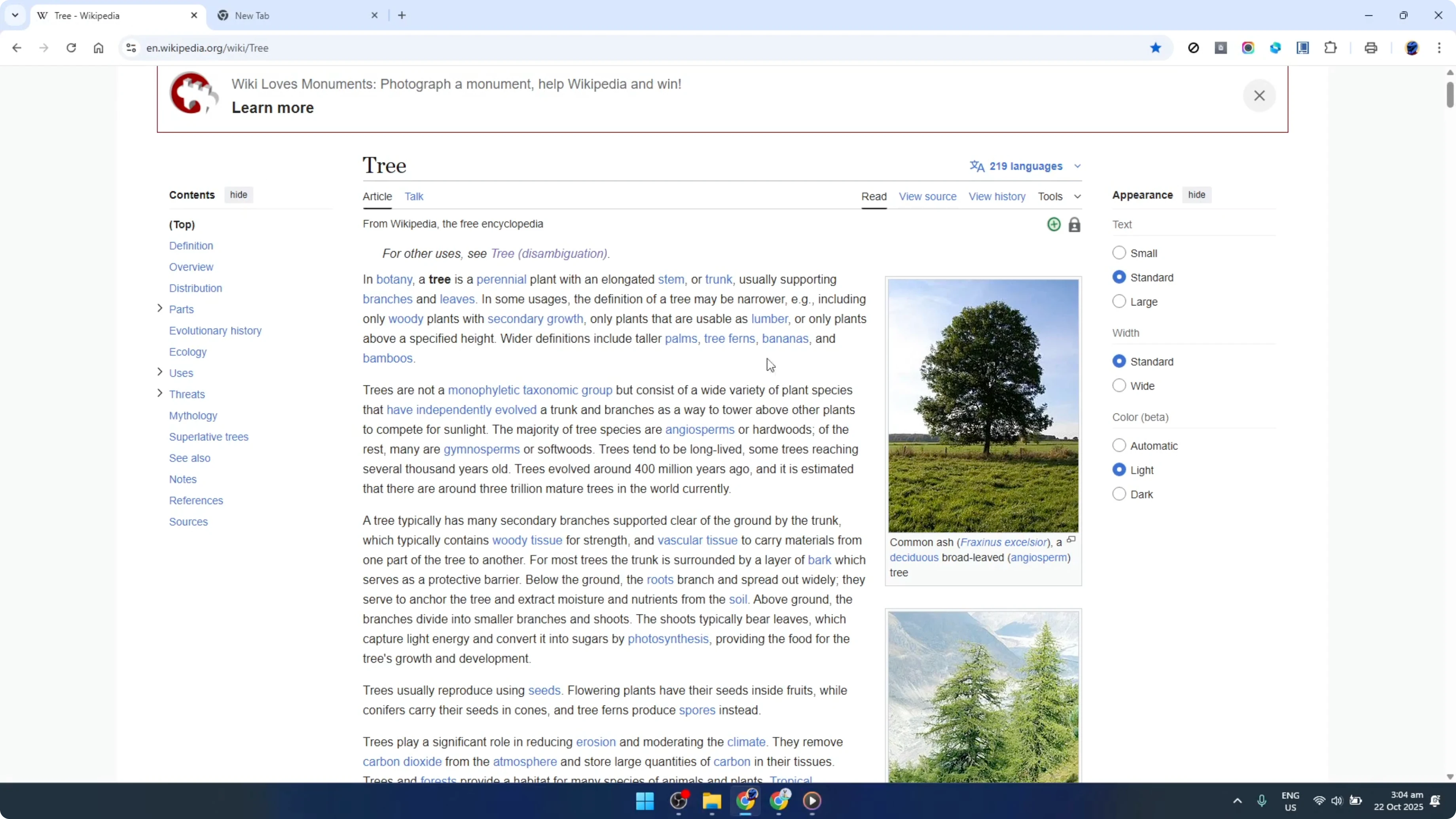 Screenshot from How To Use Cite This For Me Google Chrome Extension [2026 Guide] at 25s