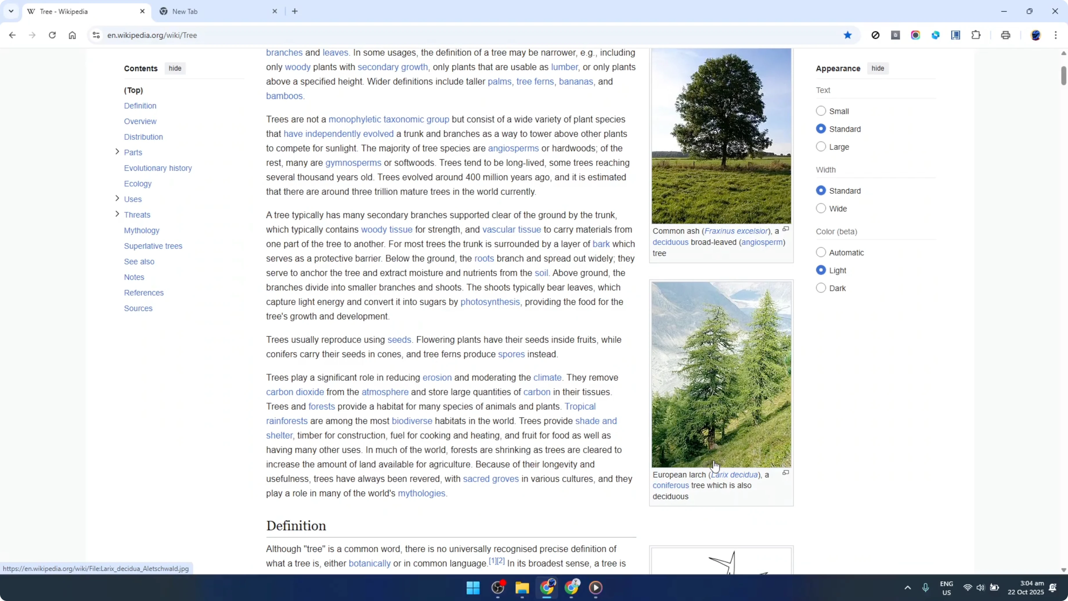 Screenshot from How To Use Cite This For Me Google Chrome Extension [2026 Guide] at 42s