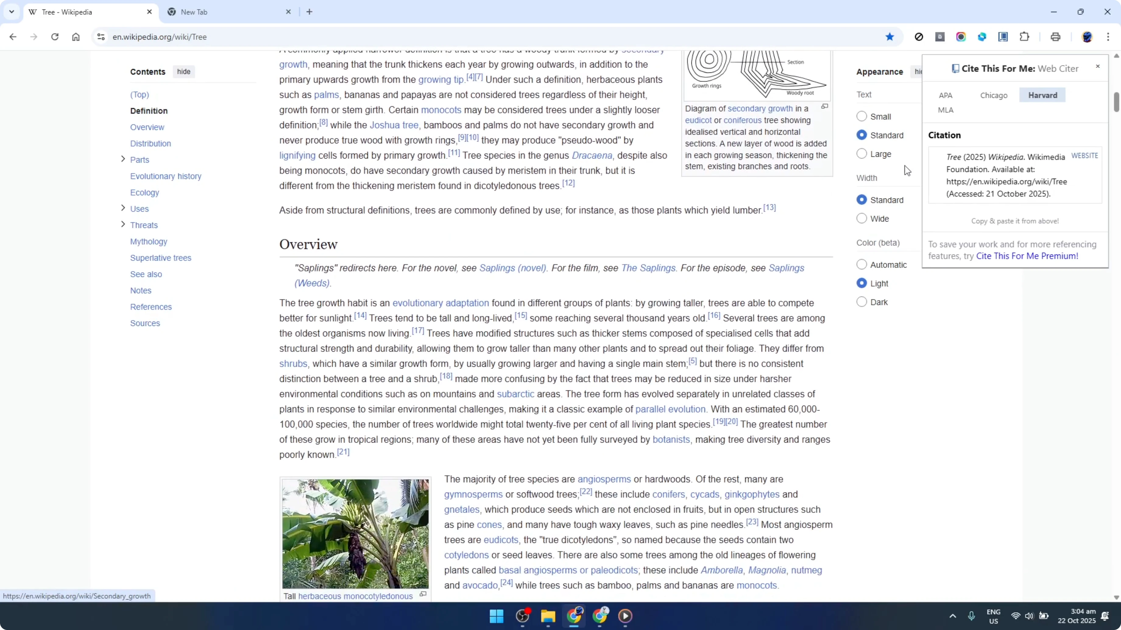 Screenshot from How To Use Cite This For Me Google Chrome Extension [2026 Guide] at 61s