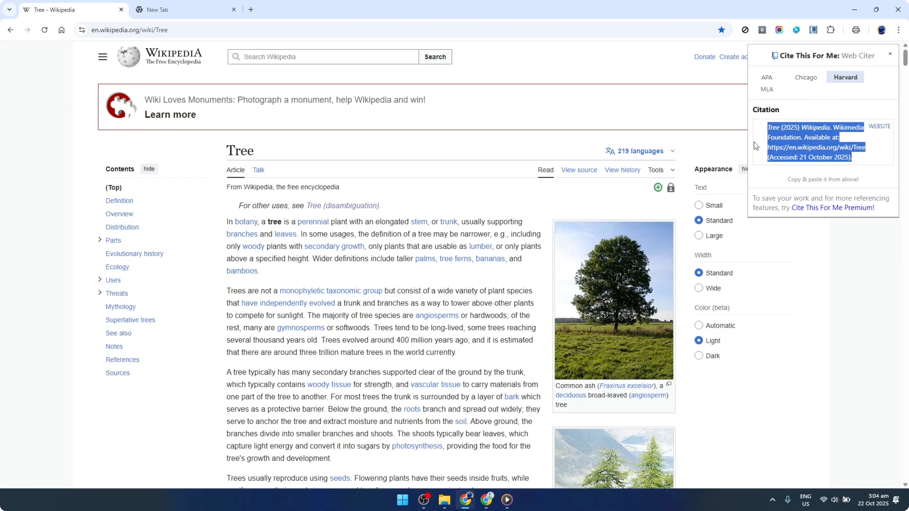 Screenshot from How To Use Cite This For Me Google Chrome Extension [2026 Guide] at 90s