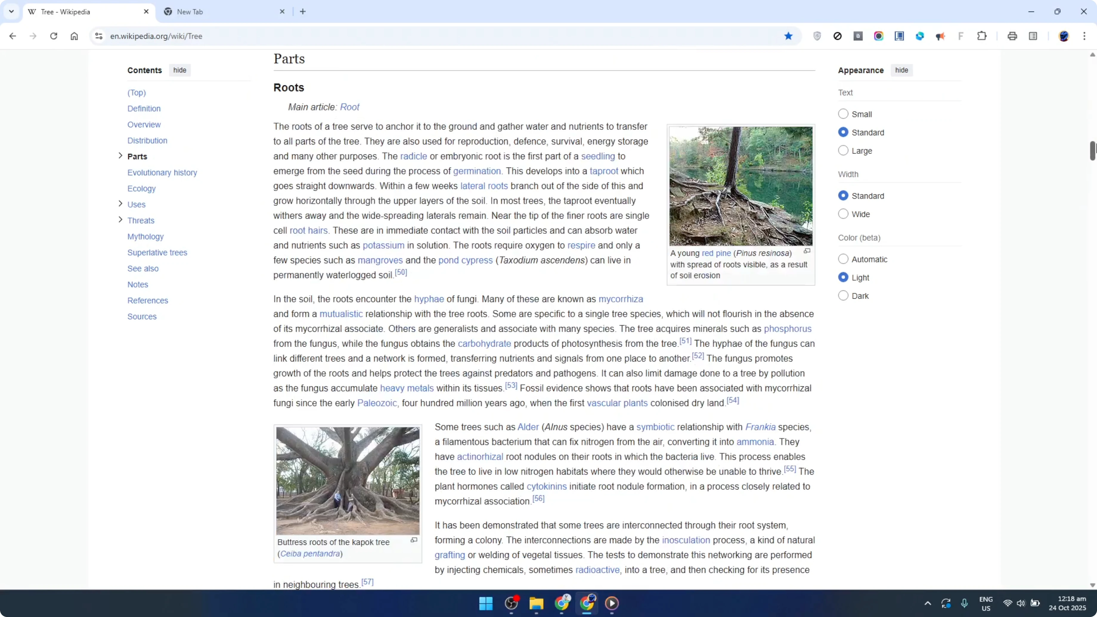 Screenshot from How To Enable Mobile View for Websites on Google Chrome in Windows [2026 Guide] at 38s