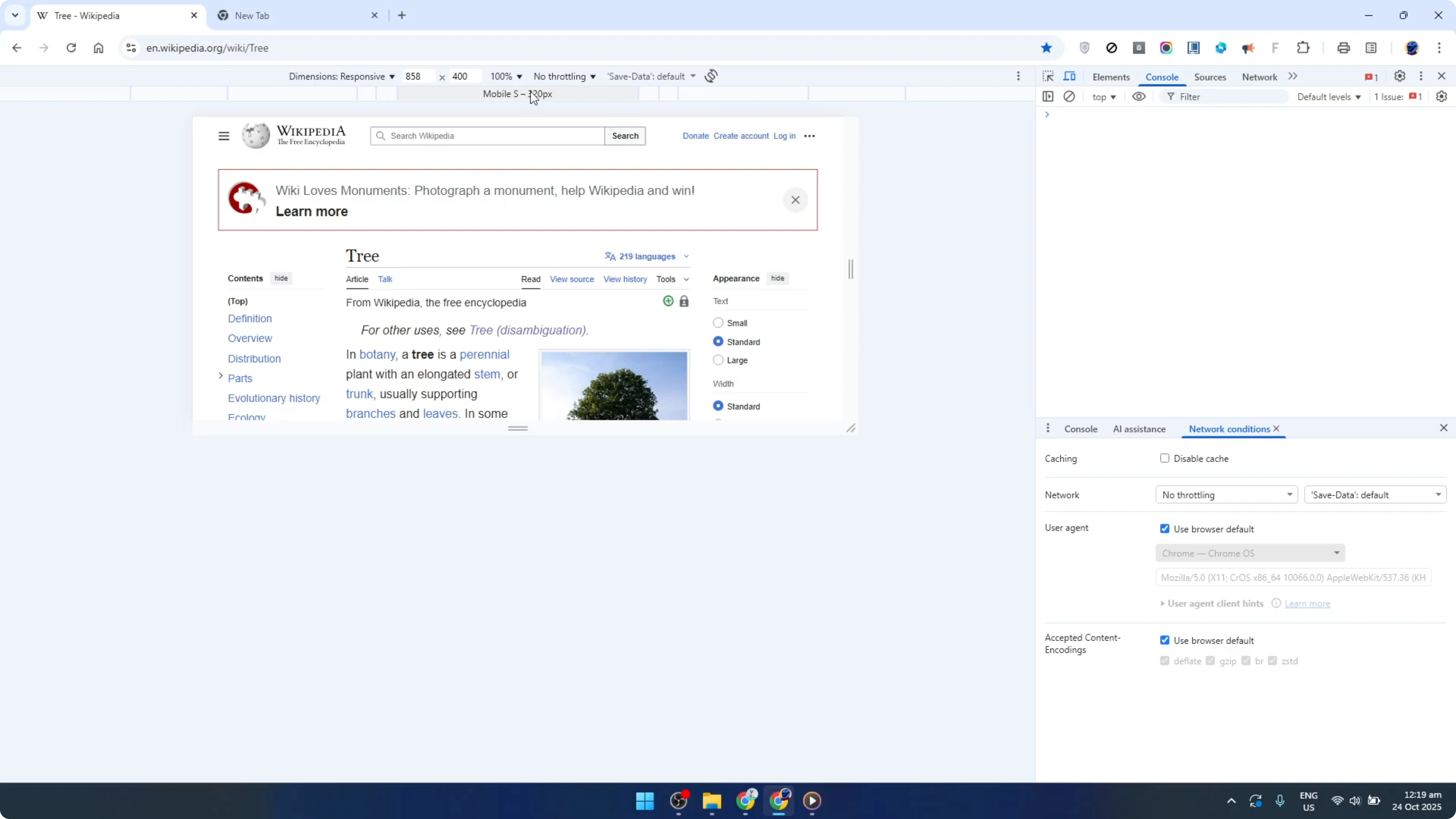 Screenshot from How To Enable Mobile View for Websites on Google Chrome in Windows [2026 Guide] at 72s