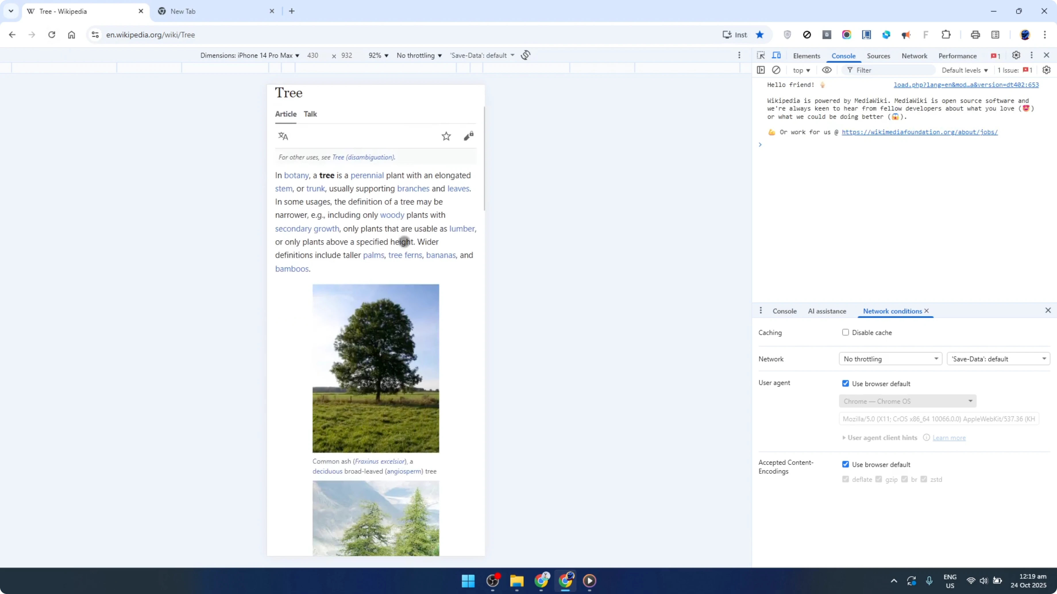 Screenshot from How To Enable Mobile View for Websites on Google Chrome in Windows [2026 Guide] at 95s
