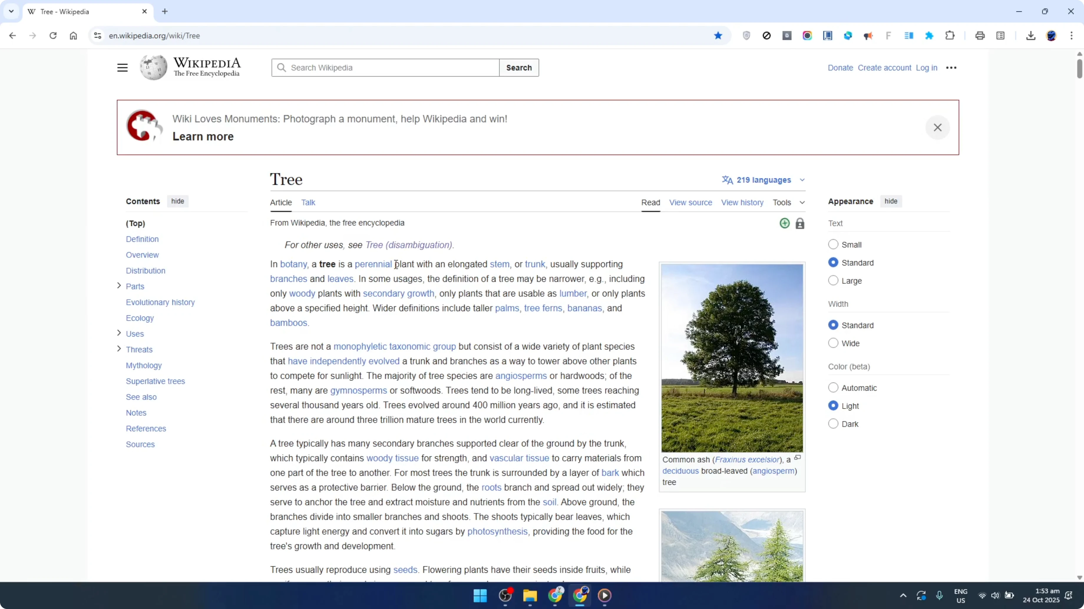 Screenshot from How To Fix 403 Forbidden Error On Google Chrome [2026 Guide] at 29s
