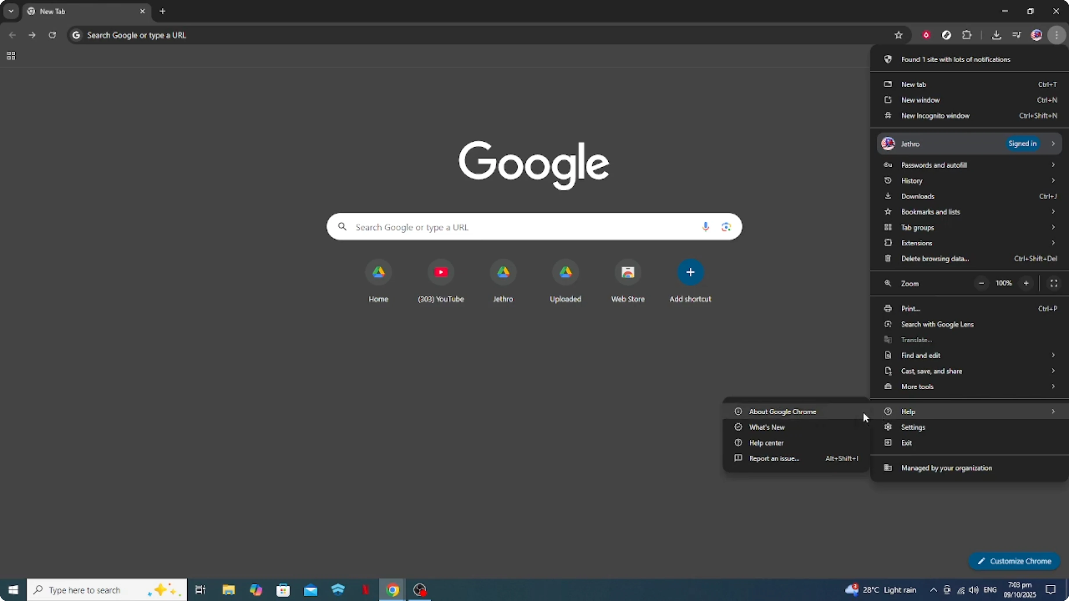 Screenshot from How To Fix Google Chrome Untitled Blank Page [2026 Guide] at 36s