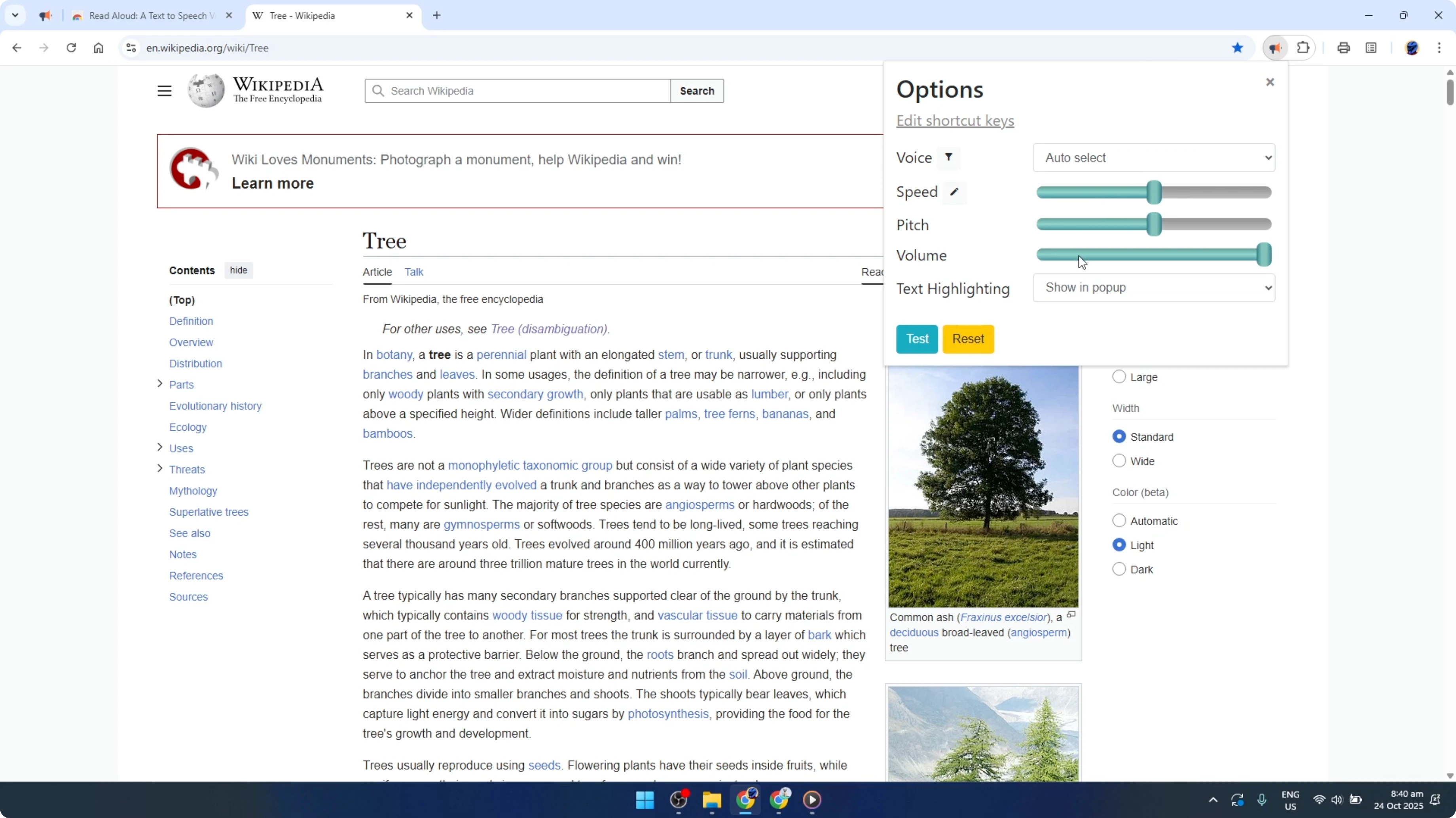 Screenshot from How To Make Google Chrome Read Docs and Web Aloud [2026 Guide] at 100s