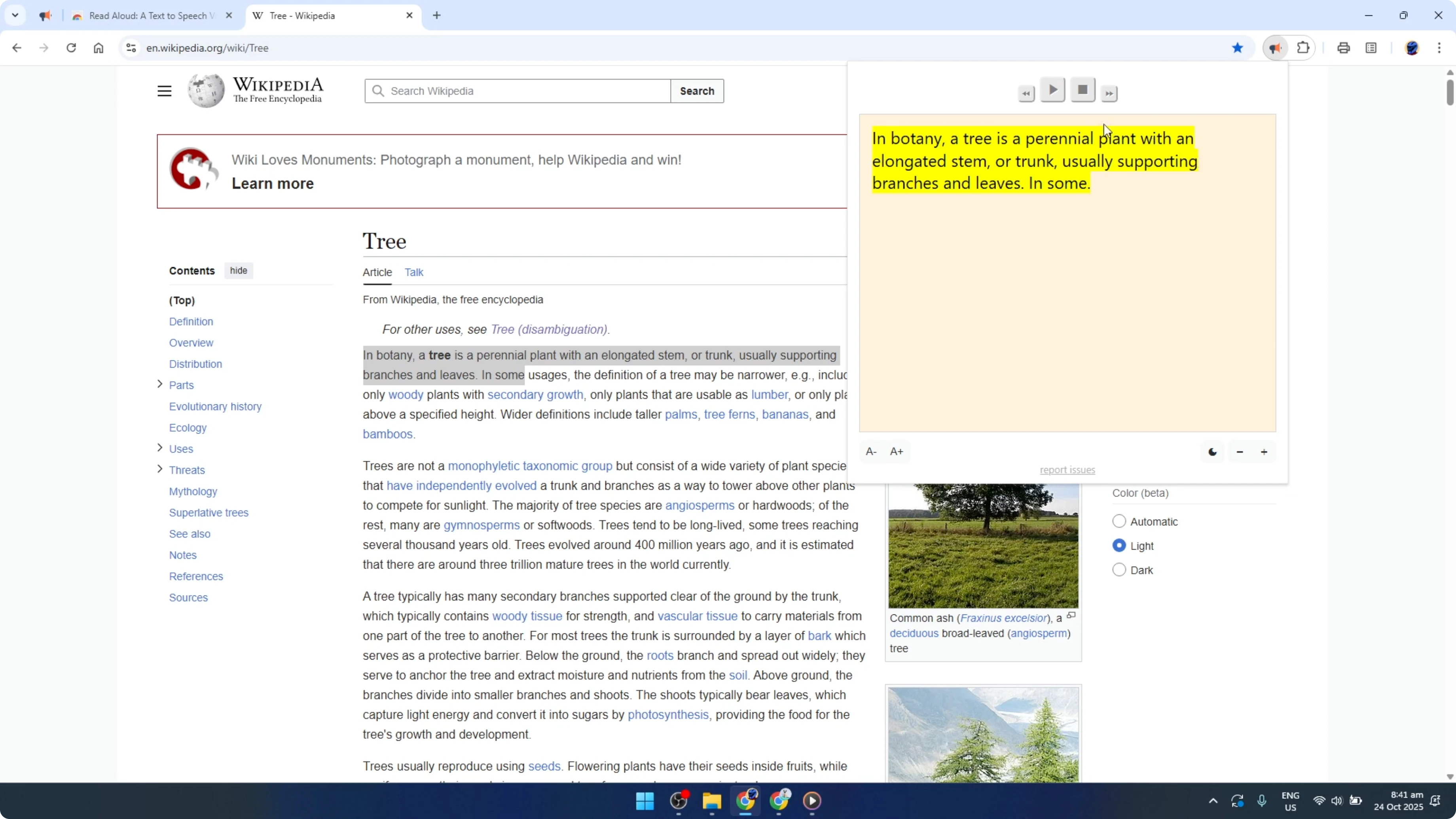 Screenshot from How To Make Google Chrome Read Docs and Web Aloud [2026 Guide] at 125s