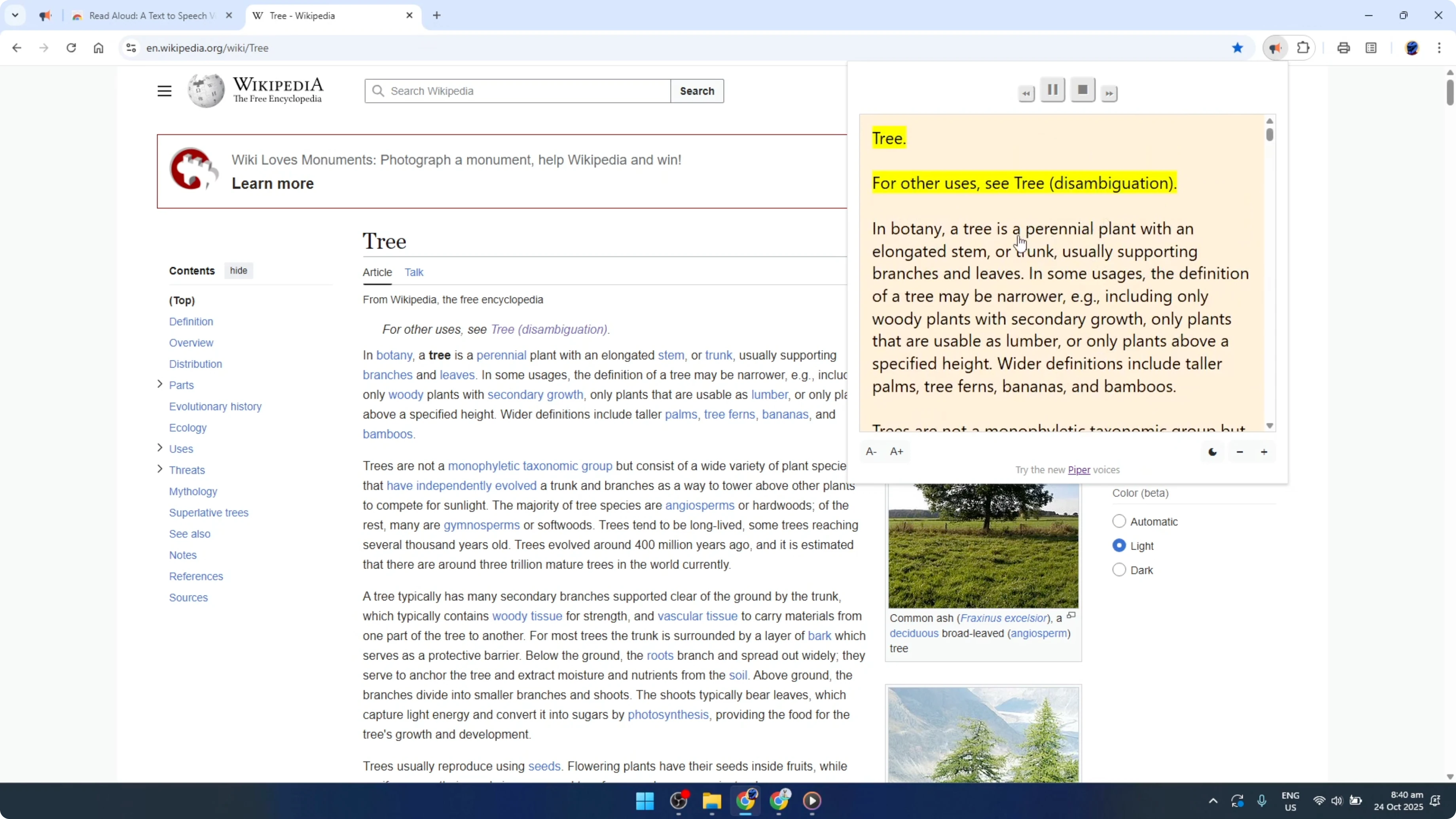 Screenshot from How To Make Google Chrome Read Docs and Web Aloud [2026 Guide] at 87s
