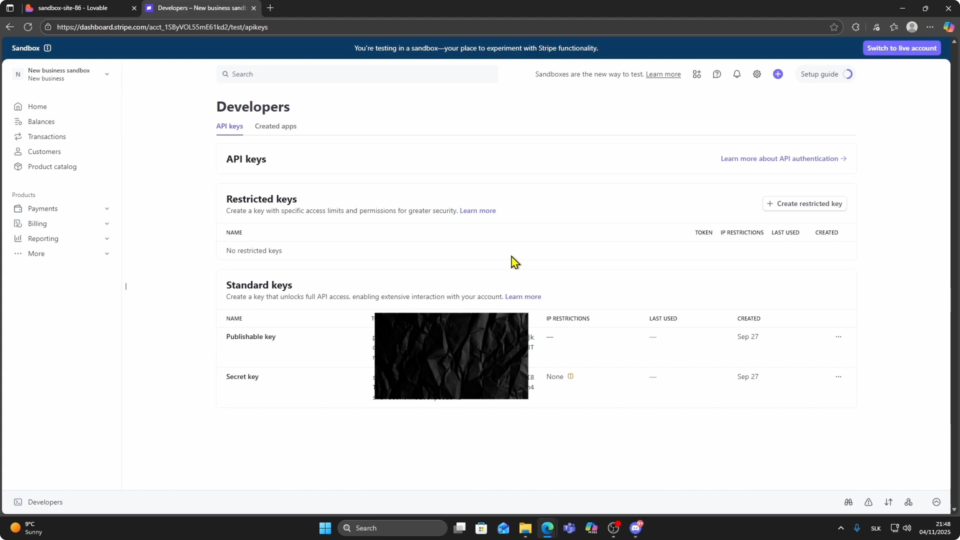 Screenshot from How To Connect Stripe To Lovable AI App Full Setup at 65s