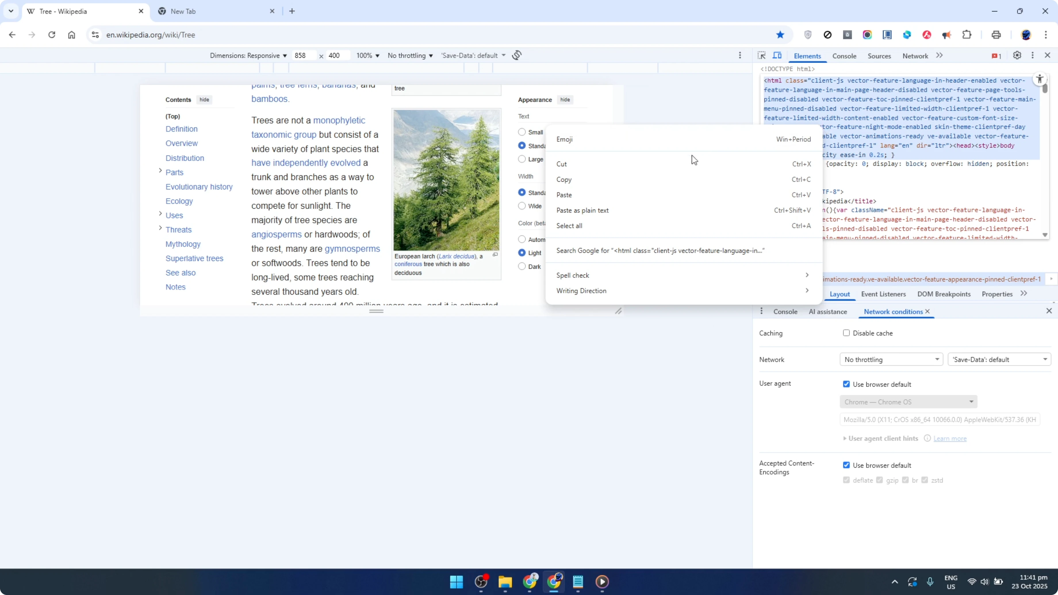 Screenshot from How To edit HTML in Google Chrome and Save it Locally [2026 Guide] at 105s
