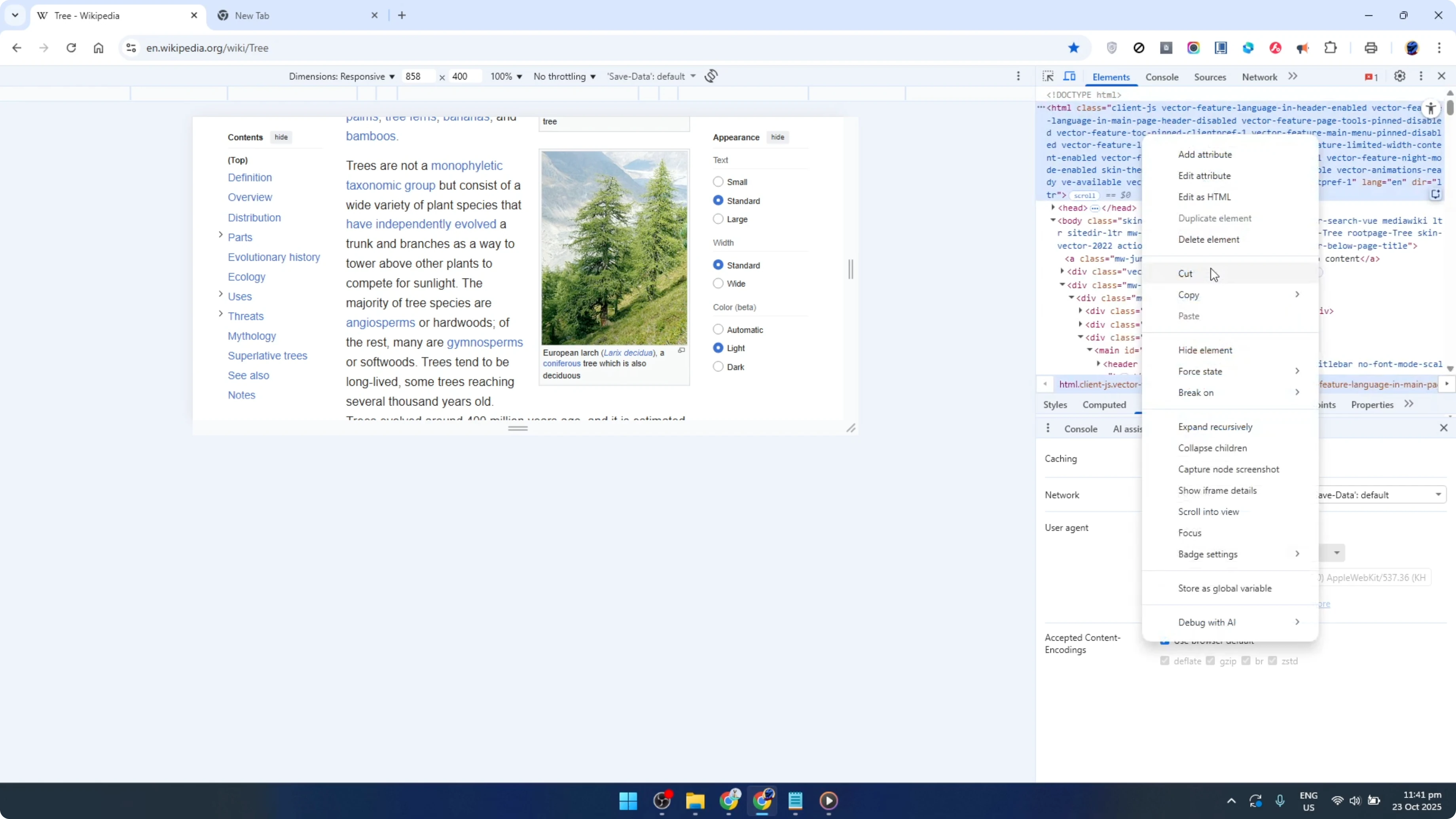 Screenshot from How To edit HTML in Google Chrome and Save it Locally [2026 Guide] at 113s