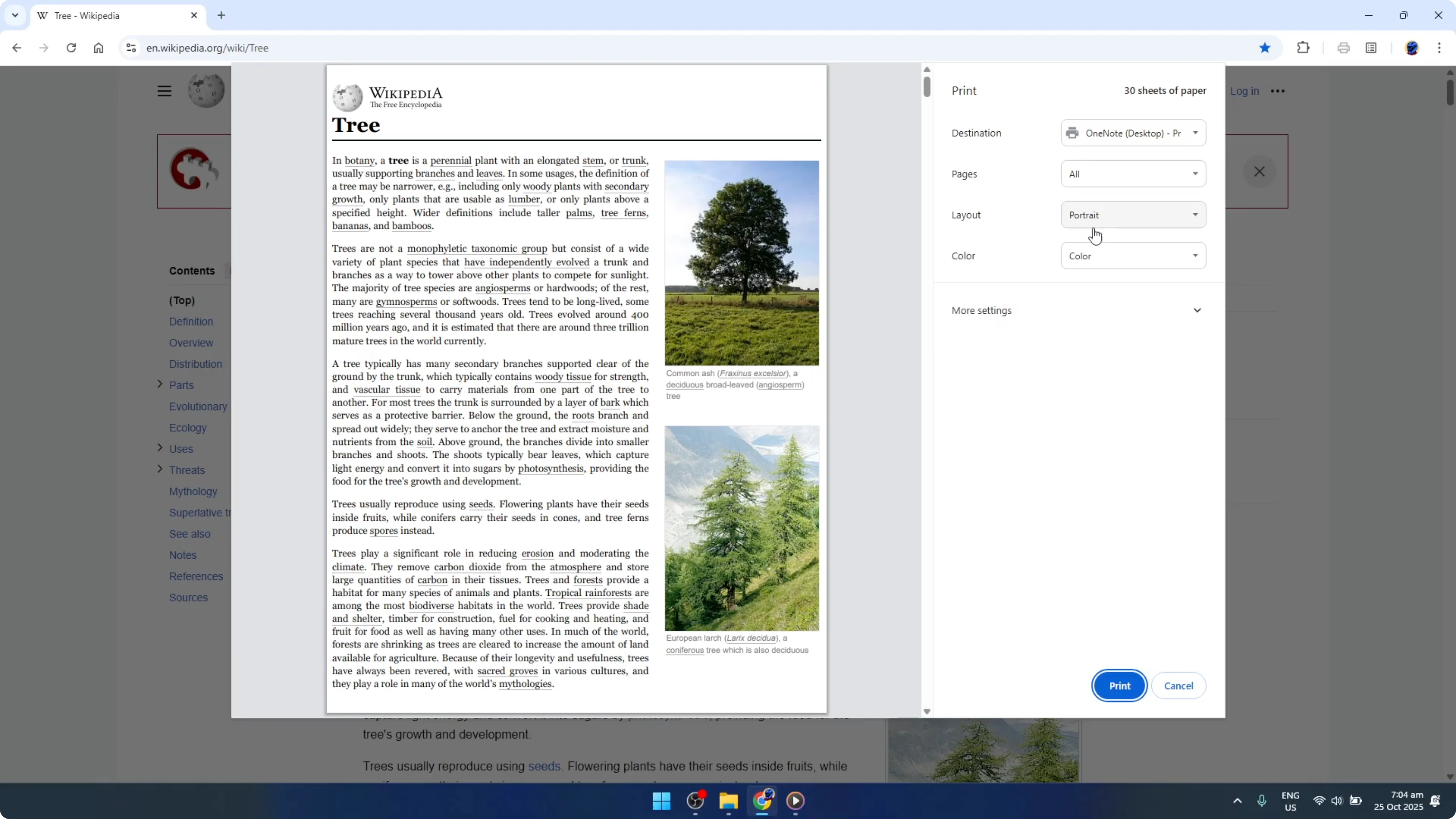 Screenshot from How To Remove Headers And Footers When Printing Or Making PDFs With Google Chrome [2026 Guide] at 48s