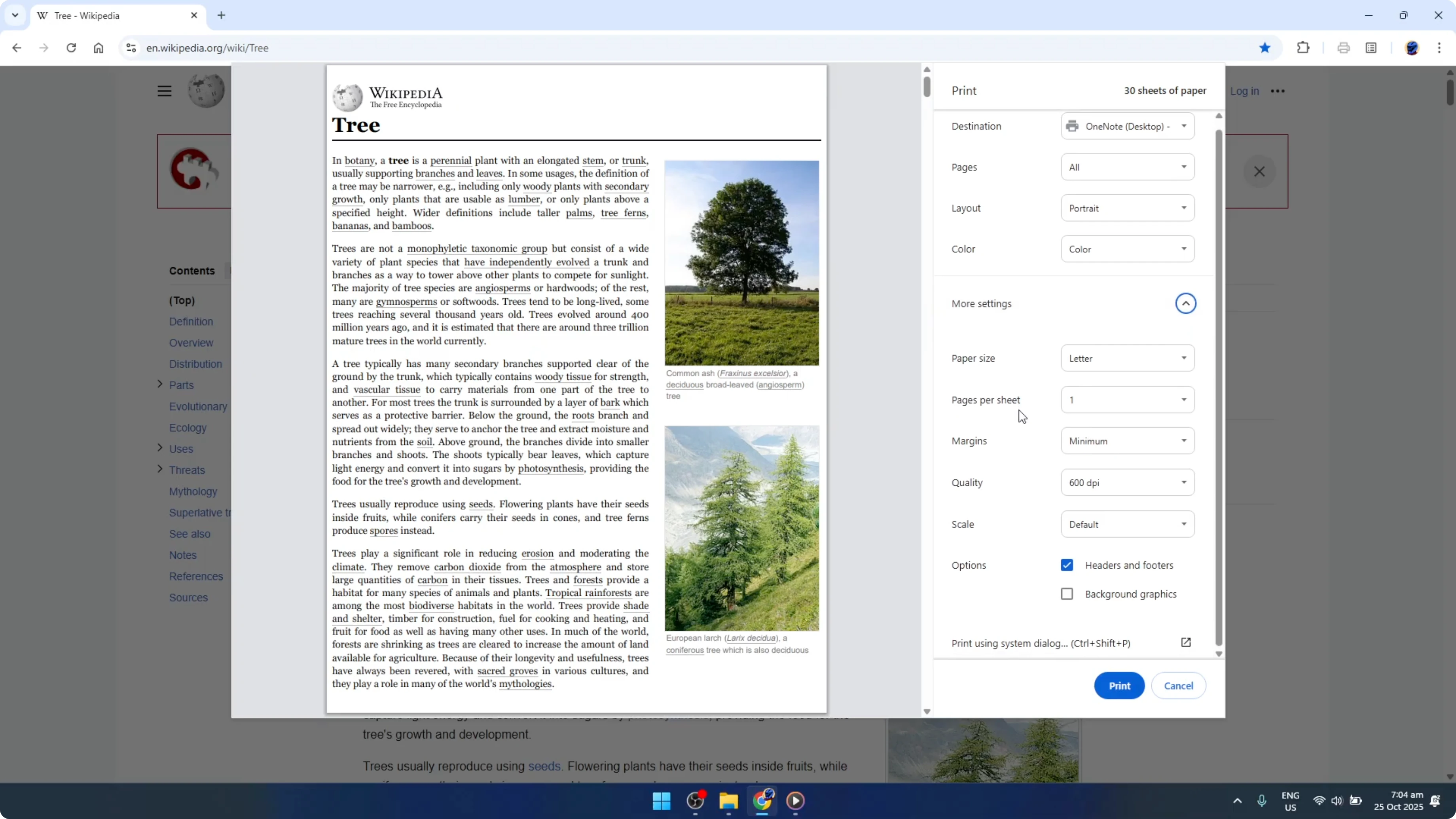 Screenshot from How To Remove Headers And Footers When Printing Or Making PDFs With Google Chrome [2026 Guide] at 61s