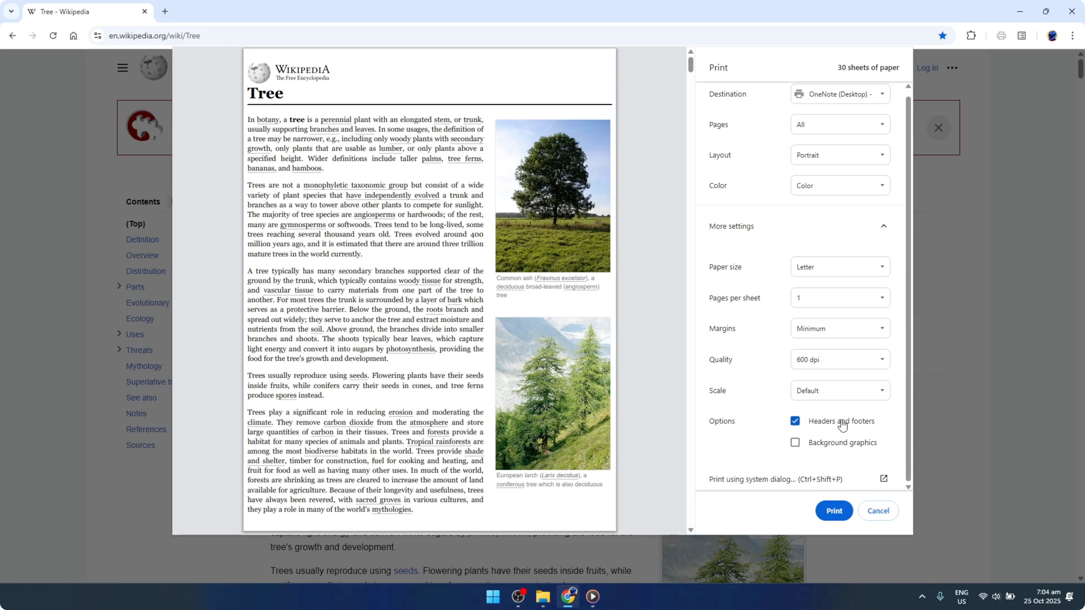 Screenshot from How To Remove Headers And Footers When Printing Or Making PDFs With Google Chrome [2026 Guide] at 89s