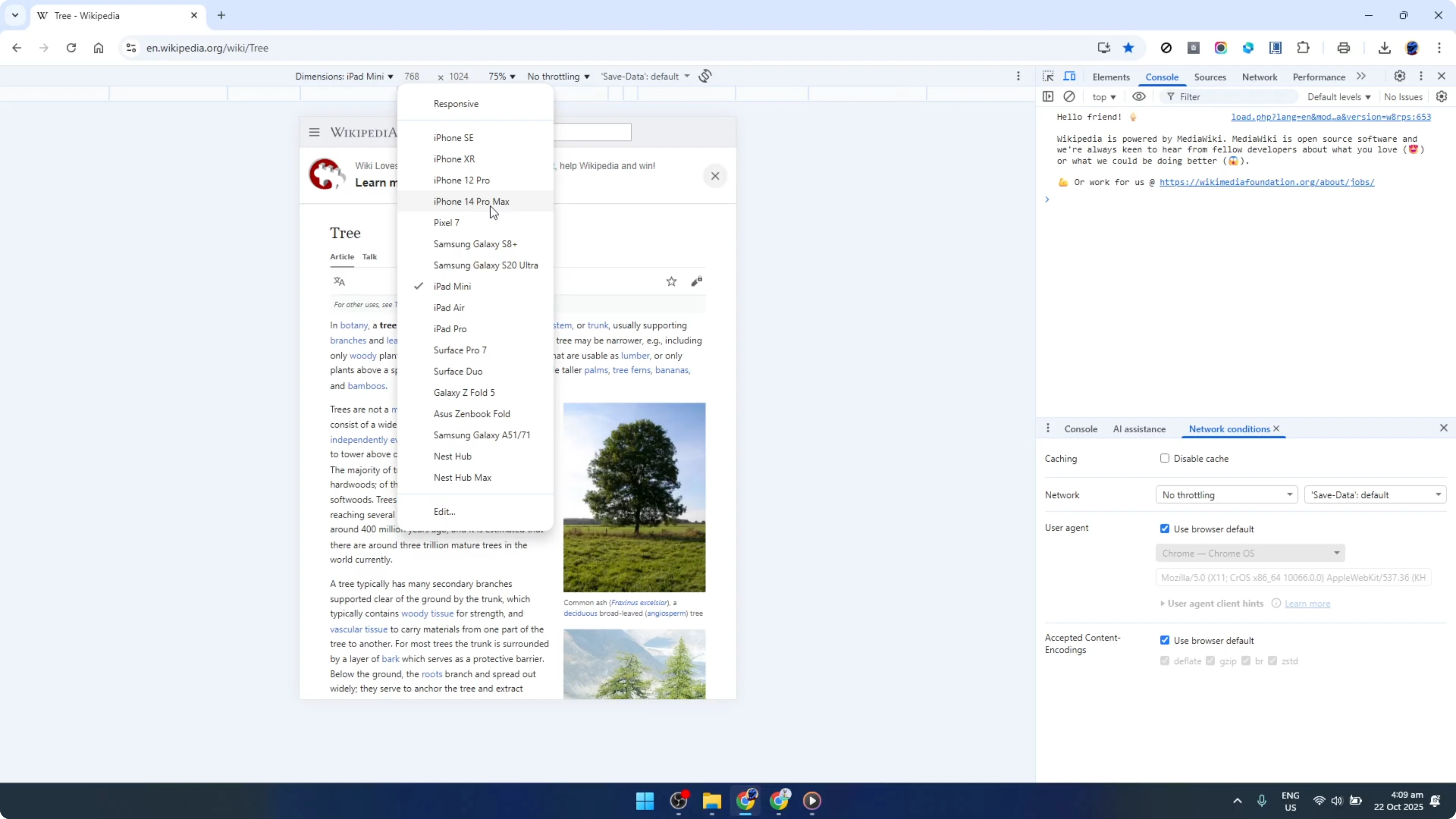 Screenshot from How To Test Your Website Layout On Any Screen Size Using Google Chrome Dev Tool [2026 Guide] at 129s