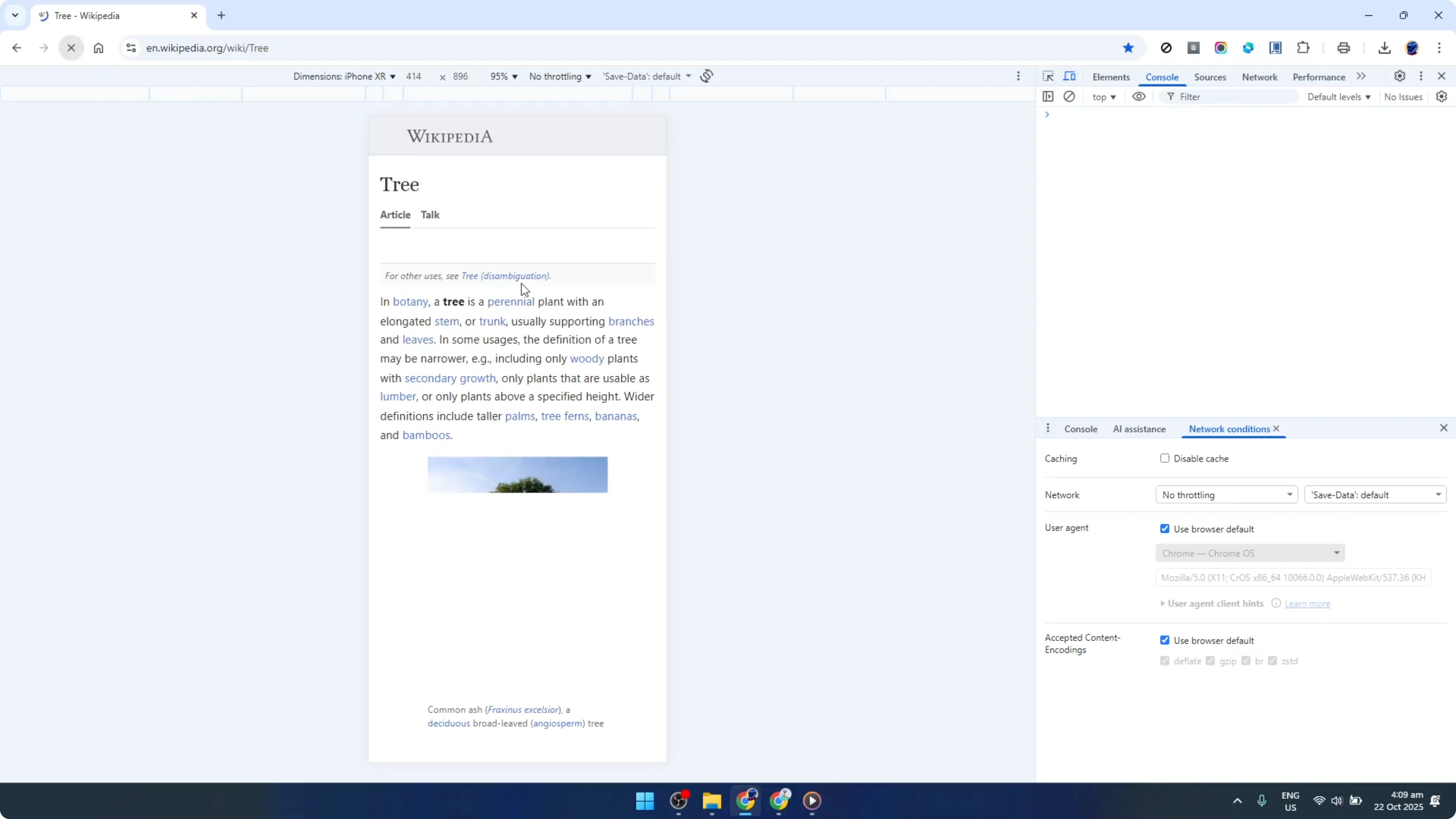 Screenshot from How To Test Your Website Layout On Any Screen Size Using Google Chrome Dev Tool [2026 Guide] at 60s