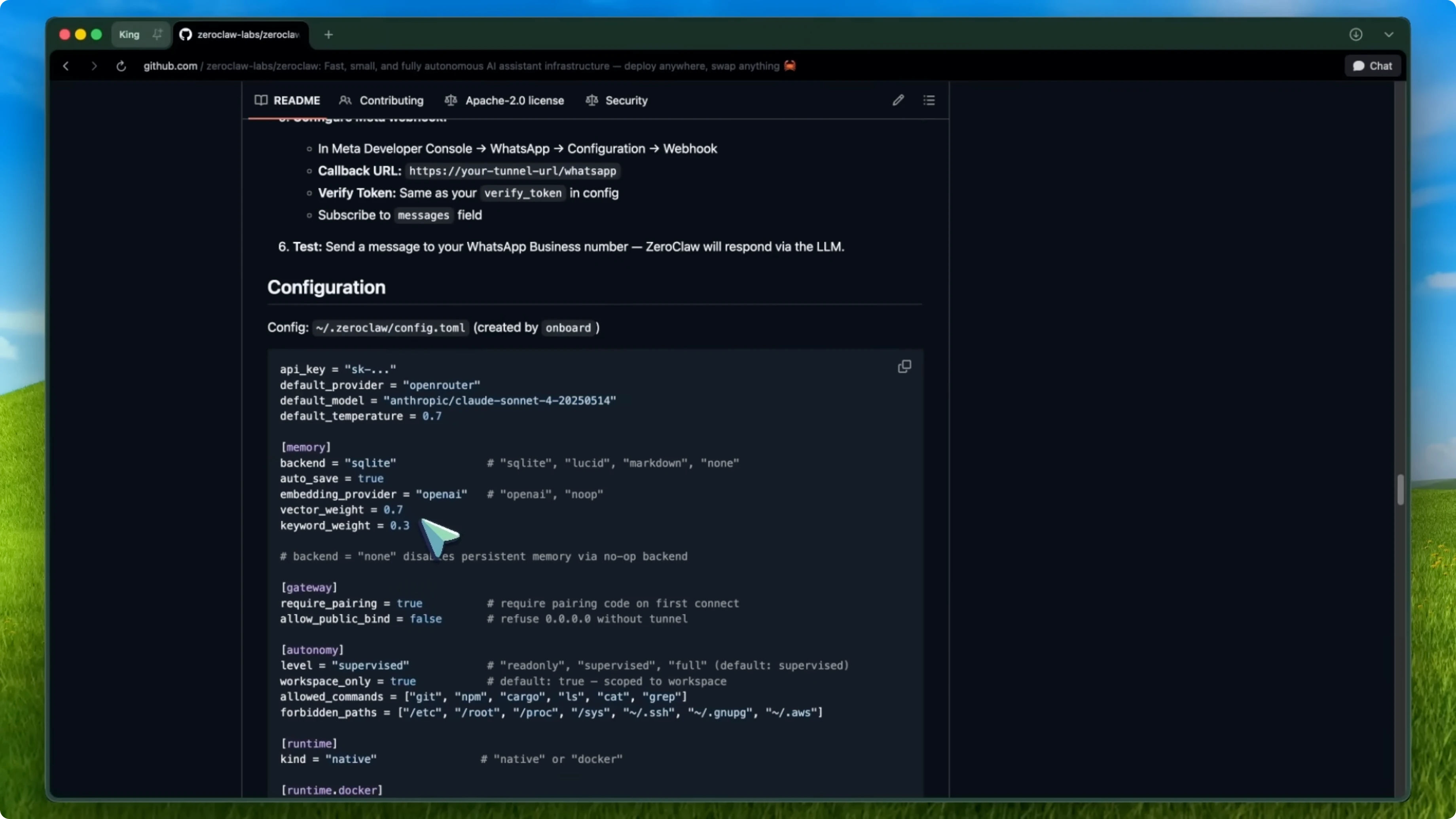 Screenshot from ZeroClaw: Could This Be the Best OpenClaw Alternative? at 233s