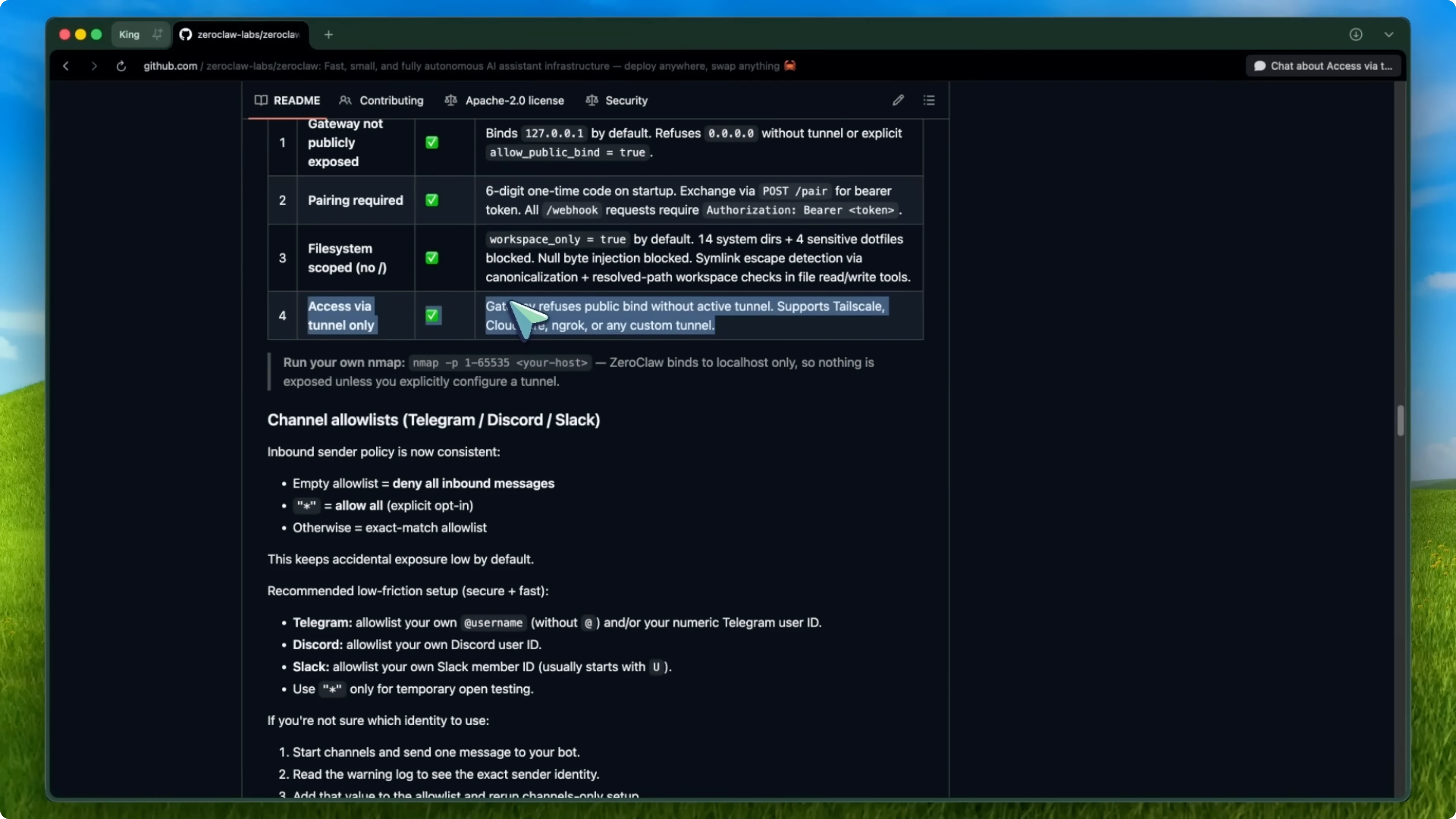 Screenshot from ZeroClaw: Could This Be the Best OpenClaw Alternative? at 316s