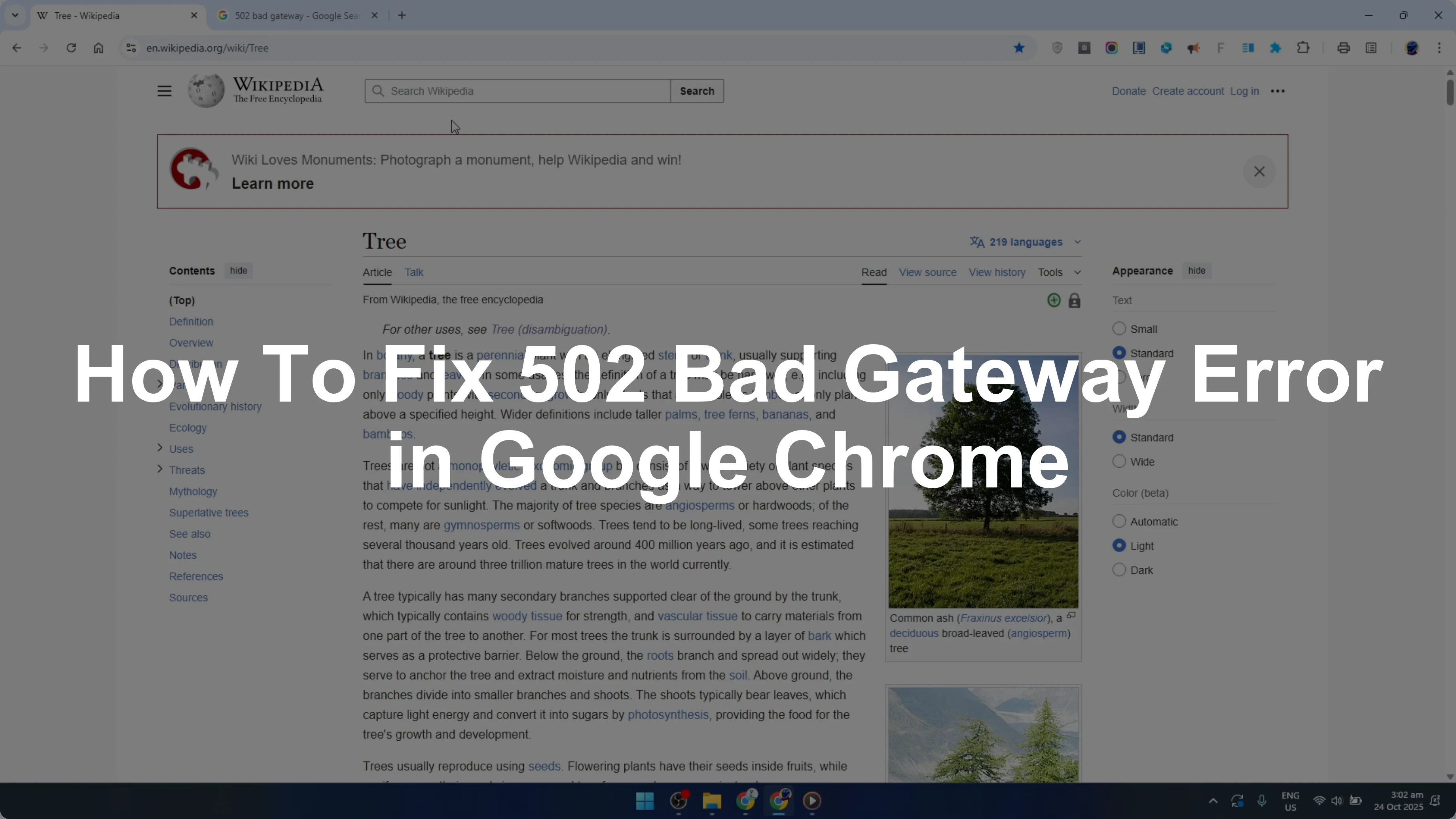 How To Fix 502 Bad Gateway Error in Google Chrome [2026 Guide]