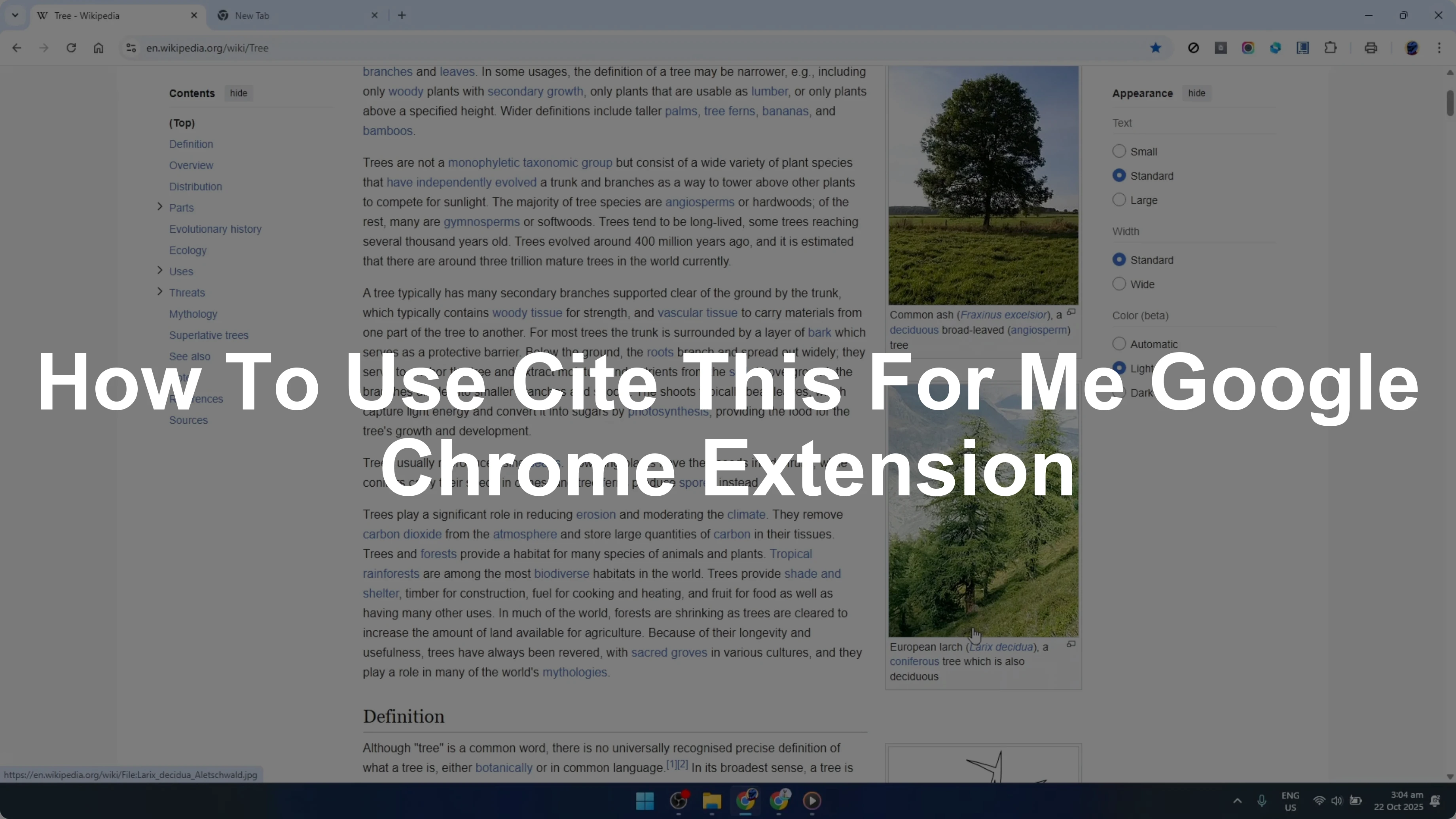 How To Use Cite This For Me Google Chrome Extension [2026 Guide]